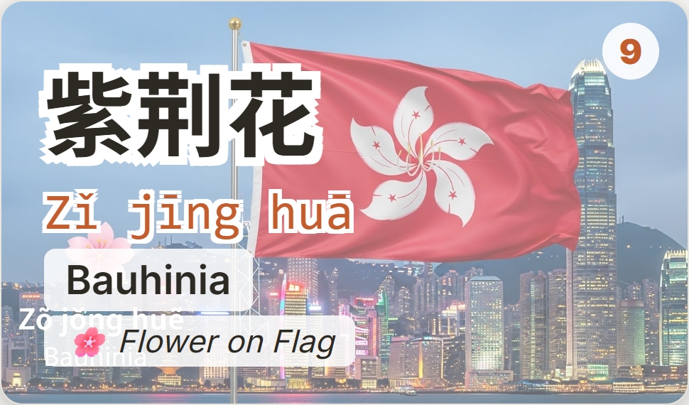 紫荆花